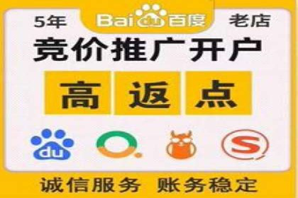 行业领先的SEM竞价广告投放案例